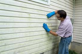 Best Storm Damage Siding Repair  in Massapequa, NY